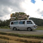 Bush-taxi well loaded