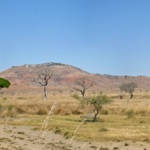 Plateau de l'Horombe