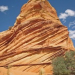 Coyote Buttes South - Fine blades of sandstone
