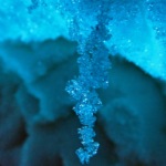 Des cristaux de glace se sont formés autour d’une fine brindille de pin. On dirait presque un bijou ! Beauté et miracle hivernal.