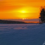 The sunset on the frozen lake Ounasjärvi is beautiful. A glowing red sun falls on the horizon until it disappears behind the trees.