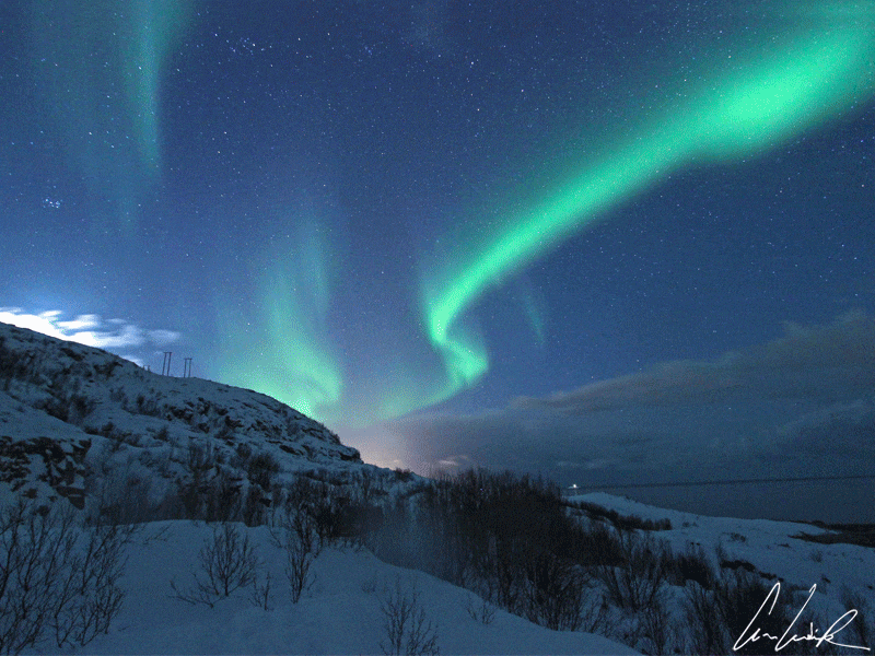 A Northern Lights is dancing for us in the Norwegian starry night, under the rhythm of a silent music.