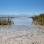 Le Salar de l’Atacama comporte des zones encore marécageuses, d’autres sèches, et toujours un mélange de sel et de terre rougeâtre en cours de séparation