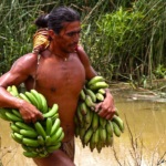 Au Festival Tapati, le triathlon Tau’a Rapa Nui comprend trois épreuves dont une course à pieds en portant un régime de bananes sous chaque bras