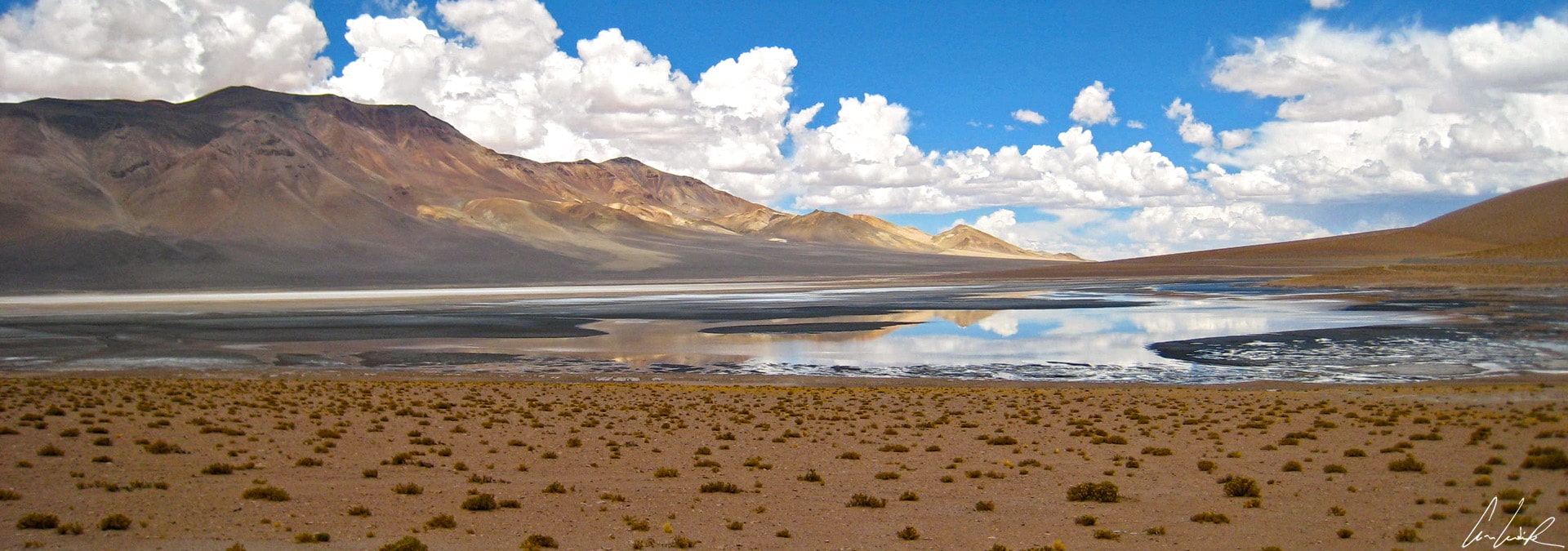 Altiplano chilien - Au sein du Salar de Aguas Calientes se trouvent des coins isolés possédant de l’eau saline et de la végétation sauvage