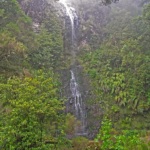 Sur le chemin de randonnée menant au Caldeirão Verde, une cascade se cache dans la végétation luxuriante tombant d’une hauteur de 50 mètres.