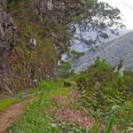 Levada do Caniçal is the only irrigation canal located in the arid north-east of Madeira Island.