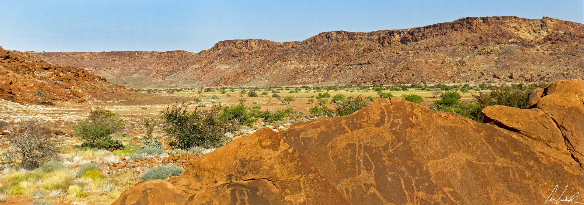The Petrified Forest and Rock Carvings of Twyfelfontein