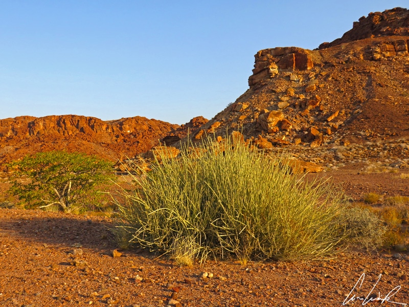 In the late afternoon, as dusk approaches, the Damaraland mountains are adorned with spectacular glowing colours.