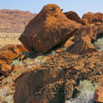 Le site de Twyfelfontein est constitué d’énormes blocs de grès, où poussent mopanes, bosquias albitronea et petites touffes de petalidium.