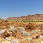 Au cœur des montagnes ocres du Damaraland, le site de Twyfelfontein est situé sur un éperon rocheux, enclavé au milieu des blocs de grès avec la plaine en contrebas.