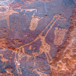 At Twyfelfontein, all the African animals are represented: giraffes, oryx, kudus and ostriches. Also, there are footprints of men.
