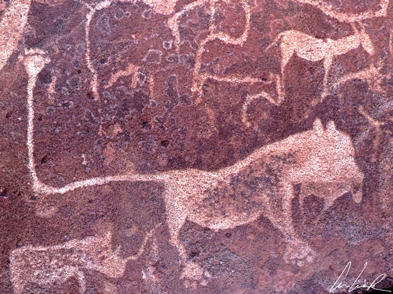 The engraving of the “lion-man” shows five fingers on each paw. These five fingers show that it was a shaman who changed into a lion.