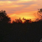 At sunrise on the Waterberg, orange, red and dark yellow intermingle in the sky: the sun will soon appear on the horizon.