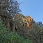 On the rocky path that leads to the Waterberg Plateau, entangled trees mingle with multicolored eroded rocks.