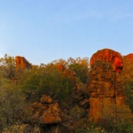 The colors of the Waterberg cliffs are absolutely sumptuous. The rocks are made of red sandstone, offering vividly colored stone ranging from light to full flamboyant reds
