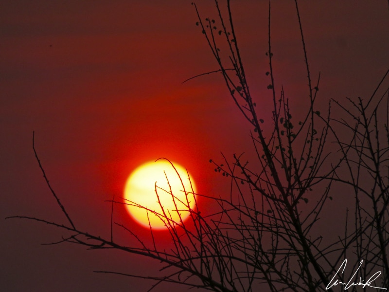 Un soleil orangé dans un ciel rougeoyant. Dans le parc d’Etosha, le lever du soleil est comme une œuvre d’art en mouvement très doux, avec la toile qui change ses couleurs avec les minutes.