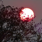 Une atmosphère presque pure nous donne un coucher de soleil orangé. L’astre solaire joue à cache-cache avec le feuillage d’un acacia.