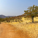 Une piste rouge, poussiéreuse et cahoteuse perdue au milieu d’un paysage semi-désertique vous emmène de Opuwo aux chutes d’Epupa.