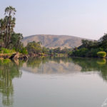 The palm trees and surrounding mountains devoid of vegetation are reflected in the calm waters of the Kunene River.