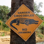 On the banks of the Kunene River, a yellow diamond-shaped sign "Danger Crocodiles, no swimming" is placed on a tree.