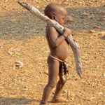A young child, shaved head, carries a dry branch of a mopane. He is only dressed in bracelets and a small square of cloth hiding his sex.