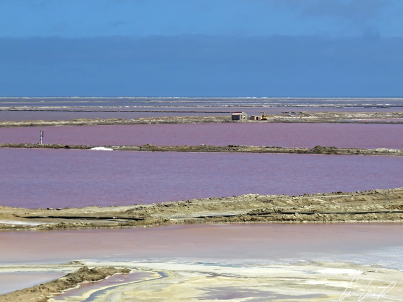 The Walvis Bay salt fields offer a mosaic of colors with different shades of pink that contrasts with an azure blue sky.