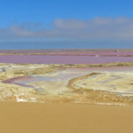In the middle of the orange sand dunes, the Walvis Bay salt fields form a mosaic of pink pools under an azure blue sky.
