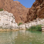 Au Wadi Shab, de belles piscines, enchâssées dans les parois verticales blanches et ocres, invitent à la baignade.