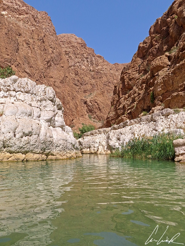 At Wadi Shab, beautiful swimming pools, embedded in the vertical white and ochre walls, invite you for a swim.