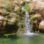 Autour des nombreuses piscines couleur émeraudes du Wadi Shab, coulent des micro cascades à l’eau fraîche.