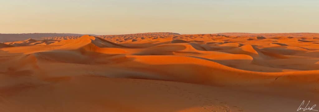 The eyes are lost in the immensity of Wahiba Sands. This sea of ochre sand, with its giant mineral waves is impressive.