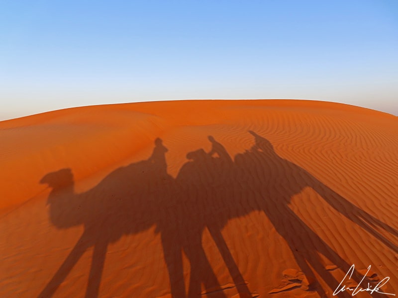 Perchés sur nos dromadaires nous avançons dans le désert, tandis nos ombres s’étirent sur les dunes.