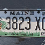 La plaque d’immatriculation de l’État du Maine comporte une mésange à tête noire, oiseau symbole de l’État et le slogan Vacation Land.