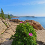 The ocean path lets you discover the beautiful coastline of Acadia National Park with its jagged pink granite formations and its abundant vegetation.