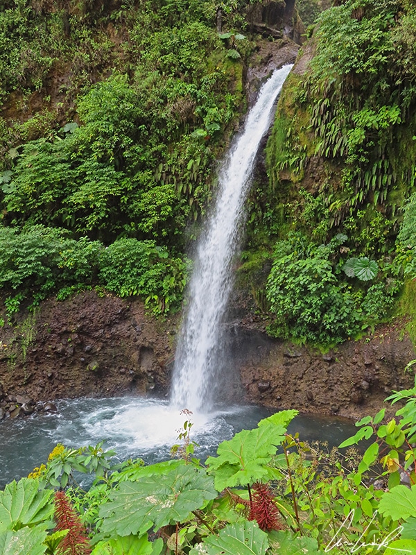 Located in the Cloud Forest near the Poás volcano, La Paz Waterfall drops nearly 120 feet before splashing into the pool below.