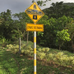 La signalisation routière « Cruce del Fauna » sur la route menant au parc national du Volcan Tenorio au Costa Rica, avertissement de passage de la faune locale sur cette route.