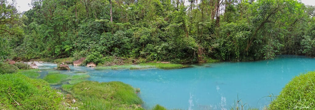 Le lagon bleu ou « Laguna Azul » du Rio Celeste est tout en contraste avec le vert de la forêt. Le bleu incroyable de la Laguna Azul dû aux eaux du Rio Celeste.