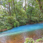 Le Teñidero ou le lieu de naissance du Rio Celeste: une fraction des particules d’aluminosilicates, à l’origine de cette couleur bleue, sédimente et un dépôt blanc est visible au fond de la rivière.