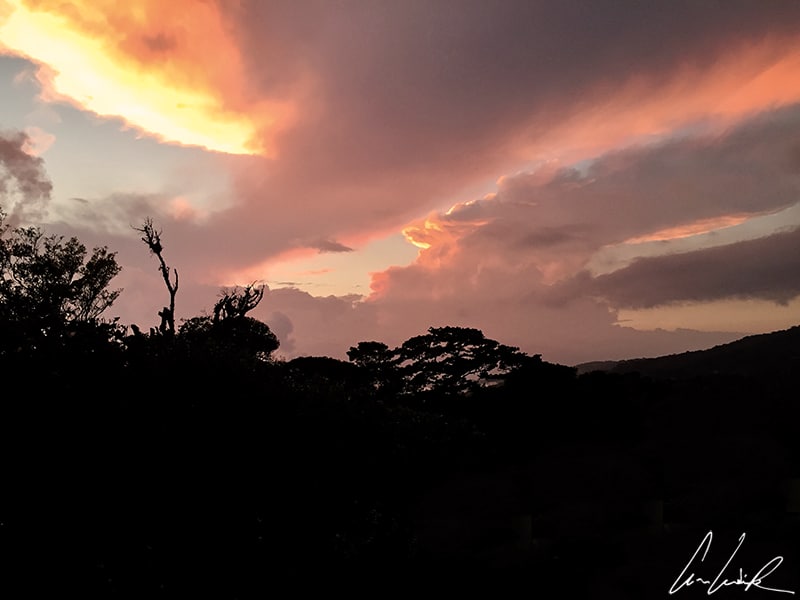 Nichée à 1500 mètres d’altitude, la forêt de nuages de Monteverde est dense, brumeuse et mystique surtout au coucher du soleil.