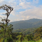 La forêt de nuages de Monteverde est l'un des endroits les plus visités au Costa Rica. La région est connue pour sa magnifique forêt