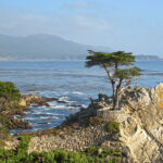 Fermement accroché à son éperon rocheux au-dessus de l’océan Pacifique, le Lone Cypress se dresse sur une pointe de granit le long de la route panoramique, 17 Mile Drive, dans le comté de Monterey, en Californie.