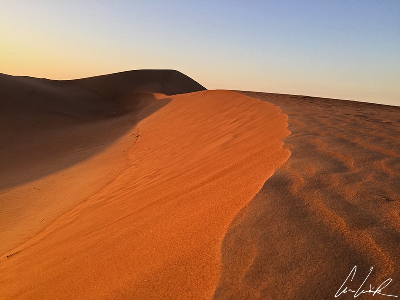 Aux premières heures du jour, le désert du Wahiba Sands s’illumine: les dunes se colorent de dégradés d’orange.