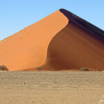 Les immenses dunes de sable orangé du désert du Namib comptent parmi les plus hautes du monde. La crête de sable incurvée sépare la partie baignée de lumière, de la partie à l’ombre en début de journée.