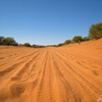 La piste qui traverse Le Grand désert de Victoria est parfois sablonneuse. On aperçoit les traces de pneus des 4x4 sur la surface molle de sable ocre.