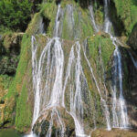 The unique quality of the Glandieu waterfall lies mainly in its shape and the emerald moss covering the rocks over which the water appears to form a complex series of nets.