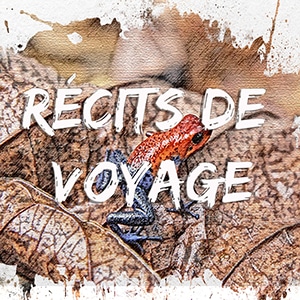 Le Costa Rica : Récits & Carnets de voyage de Voyage de C-Ludik, photo miniature grenouille Blue Jean.
