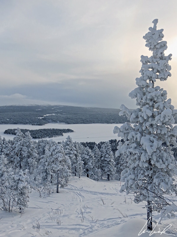 En Laponie, l'hiver venu, des collines couvertes d'arbres enneigés et des tourbières gelées confèrent à la région toute sa magie.