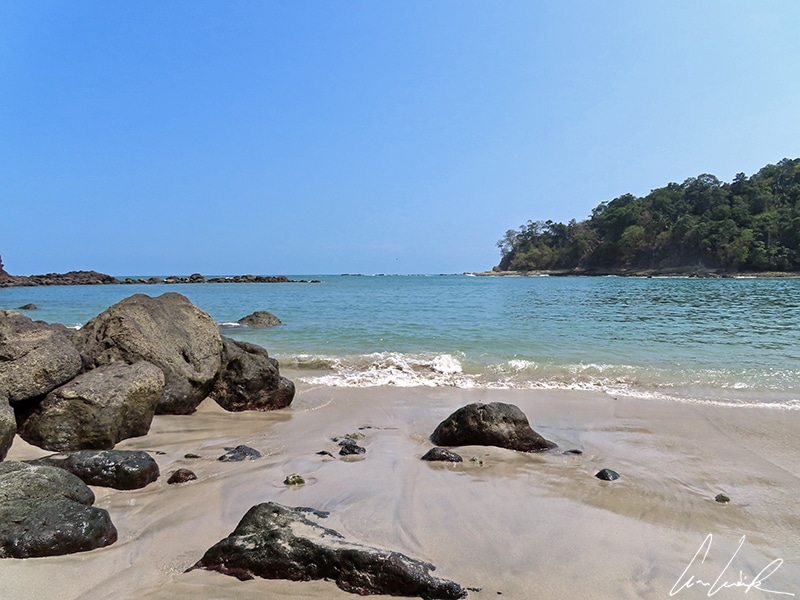 Small cove, white sand, and crystal water: the paradisiac Manuel Antonio beach can be reach by only 10 minutes’ walk from the entrance of the park.
