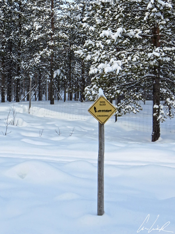 Panneau attention passage de chiens de traîneau (dog sled crossing) en Laponie finlandaise près du village d’Enontenkiö